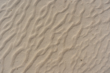 Fototapeta na wymiar Wind Rippled Sand