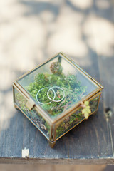 wedding rings in glass box