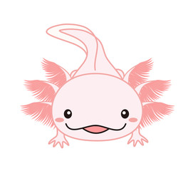 ウーパールーパー　全身　イラスト　ピンク