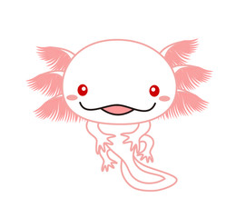 ウーパールーパー　全身　イラスト　アルビノ