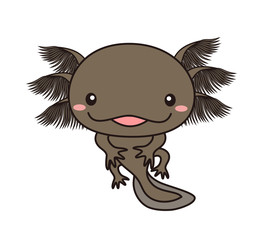 ウーパールーパー　全身　イラスト　ブラック