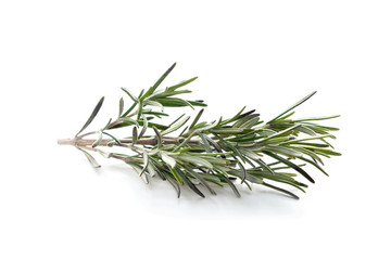 Fresh rosemary on white background