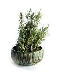 Bowl with fresh rosemary on white background