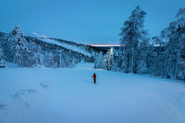Solo skier on lit piste lined with snow covered pine trees in Levi, Lapland, Finland