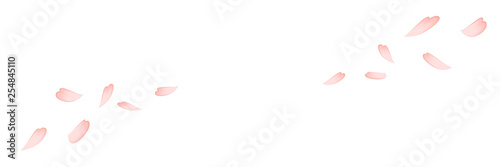 Simple Background Material That Cherry Blossom Petals Dance 桜の花びらが舞うシンプルな背景 素材 Wall Mural Kana Design Image