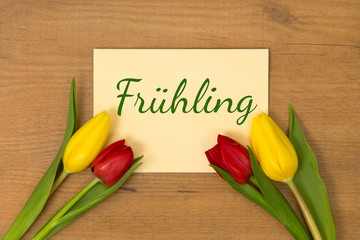 Tulpen und Karte: Frühling