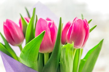 Beautiful spring bouquet of pink tulips. Close up, soft focus