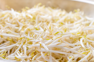 Close up. bean sprouts white fresh plant on a bowl
