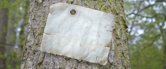 Papier am Baum als Banner mit Textfreiraum