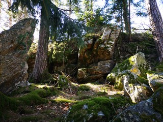 Kraftplatz im Wald mit großen Steinen