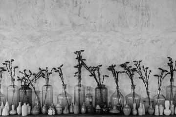 Dried flower in the bottle with in black and white wall background.