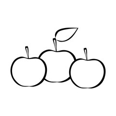 three apples with leaf vector outline symbol isolated on white background