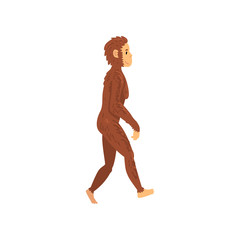Female Homo Erectus, Biology Human Evolution Stage, Evolutionary Process of Woman Vector Illustration