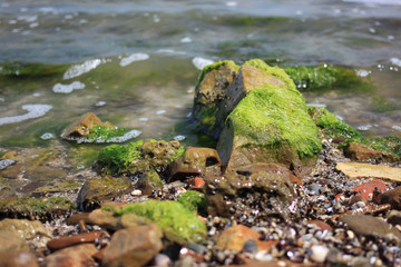 sea ​​stones