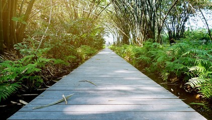 wooden trail bridge walking way at green garden, rain forest.boardwalk, pathway