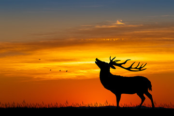 illustration of deer at sunset