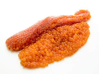 生筋子　生イクラ　魚卵　鮭の卵　鮭子