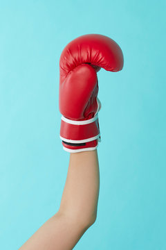 Boxer