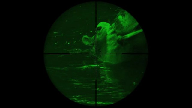 Common Hippopotamus (Hippopotamus Amphibius) Seen in Gun Rifle Scope with Night Vision. Wildlife Hunting. Poaching Endangered, Vulnerable, and Threatened Animals
