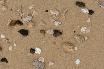 Crushed coral stone on the beach