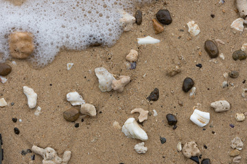 Crushed coral stone on the beach