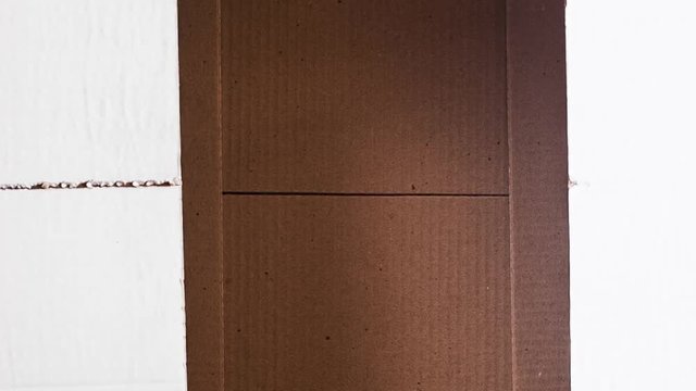 Closing box close up. Empty box for things.