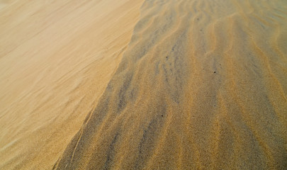 sands of the desert