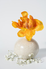 Orange Tulpe in der Vase