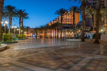 Beautiful palm gardens at Central promenade in Eilat, Israel.