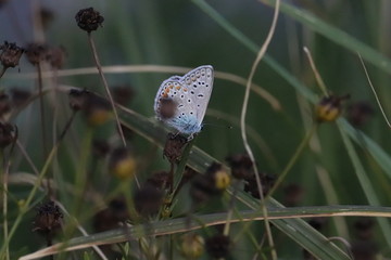 Nature, photo Czech republic, Europe