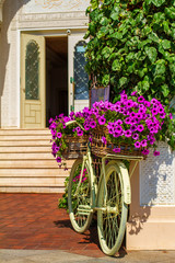 Fototapeta na wymiar decorative bike with flowers standing in front of the building