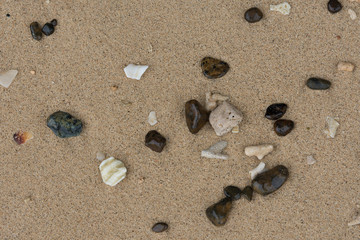 Fototapeta na wymiar Crushed coral stone on the beach