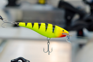 Closeup of plug (fishing). Plugs are a popular type of hard-bodied fishing lure.