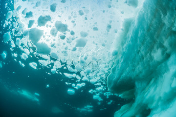Drift Ice, Underwater View