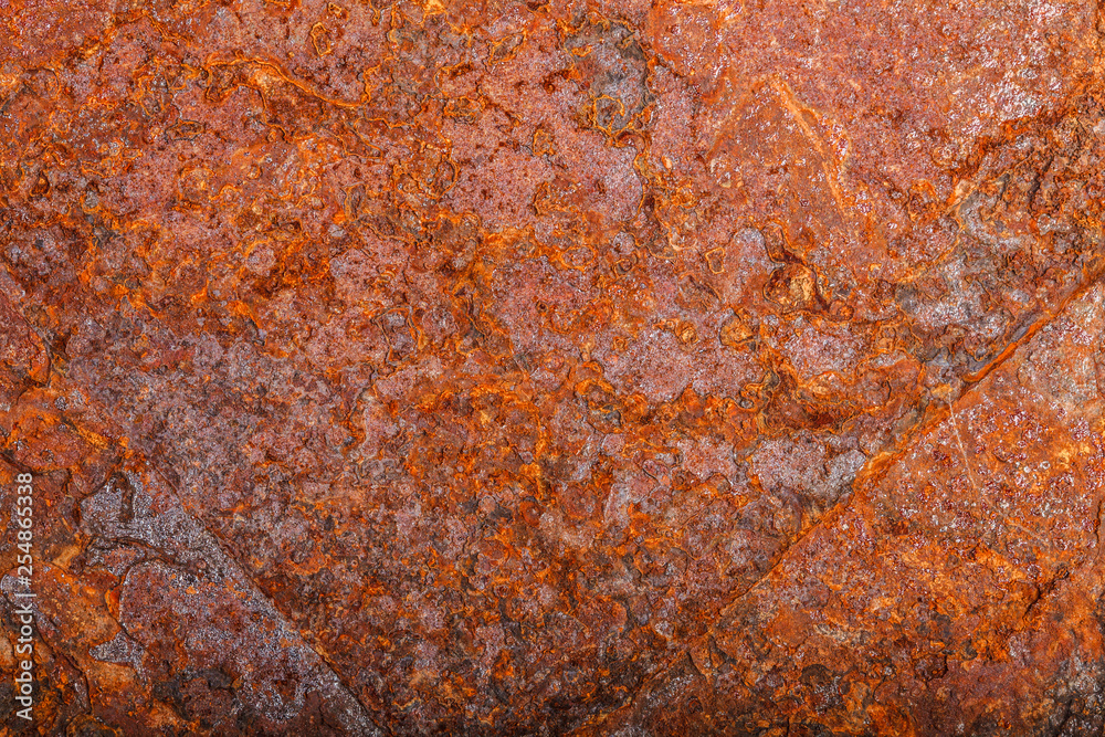 Wall mural sheet of rusty metal. old oxidized background