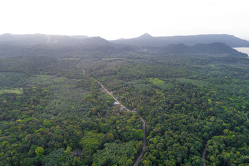 Fototapeta na wymiar Aerial view tropical green forest on island
