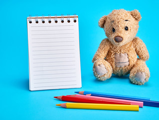 little brown teddy bear  and a blank notebook