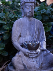 buddha