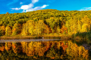 SHARON CT USA. Fall colors on Calkinstown Road.