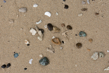 Crushed coral stone on the beach