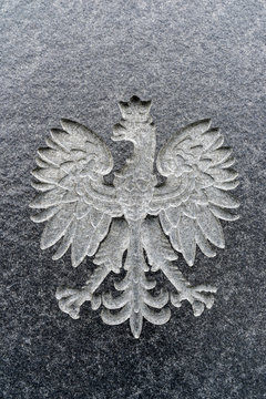Polish eagle carved in marble. Polish emblem.