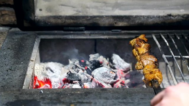 Freshly baked barbecue, and pieces of meat baked on the grill