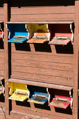 detail of a bee house with many colorful stocked bee hives