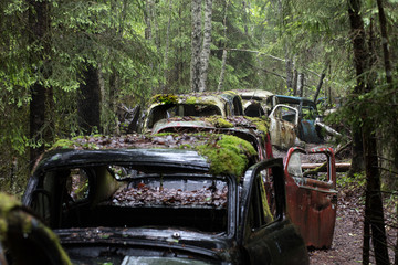 The Bastnas car graveyard lies in a Swedish forest and reportedly contains the the rusting carcasses of 1,000 abandoned cars.