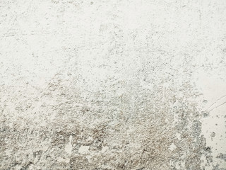 Great for textures and backgrounds. perfect background with space for your projects text or image