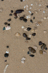 Crushed coral stone on the beach