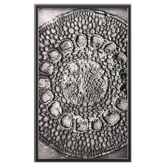 3D wall art, paintings	