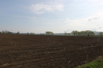 Nature of sring, Czech republic, Europe