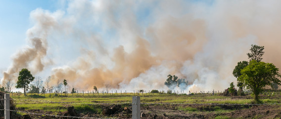Burning Farm Fields