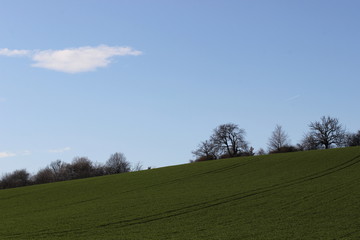 Spring in nature. Photo Czech republic, Europe